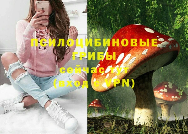 мдпв Балабаново