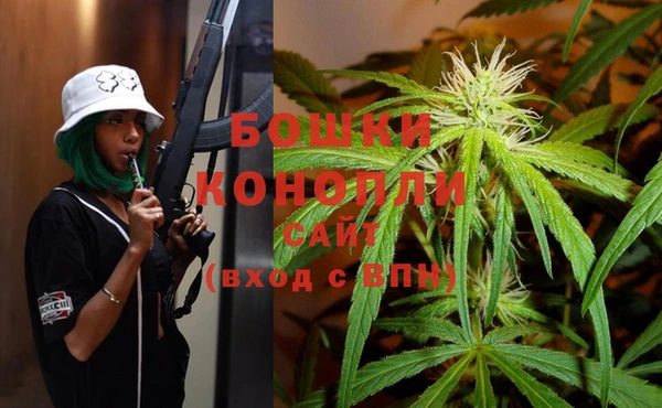 шишки Богородицк