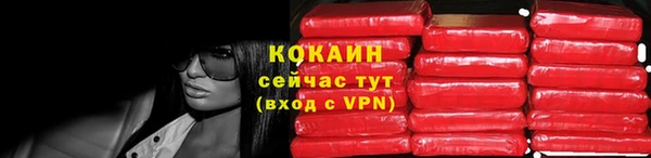 шишки Богородицк