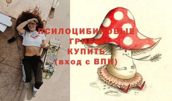 мдпв Балабаново