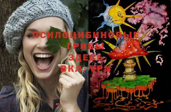 шишки Богородицк