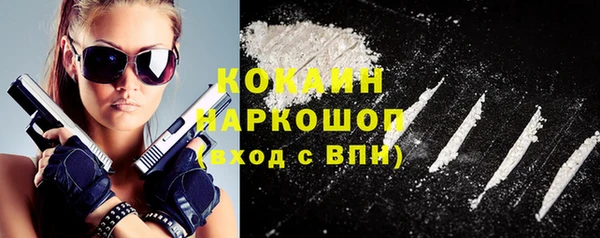 шишки Богородицк