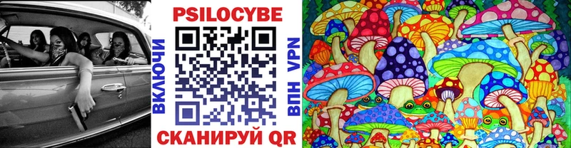 Псилоцибиновые грибы Psilocybine cubensis  Купить  Семилуки 